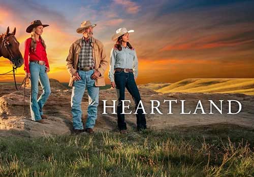 owl-carousel-video-image